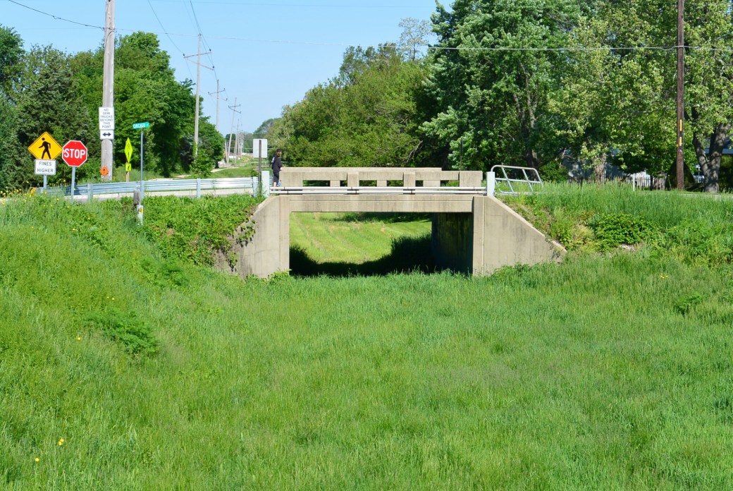 wp-1433017856334 image