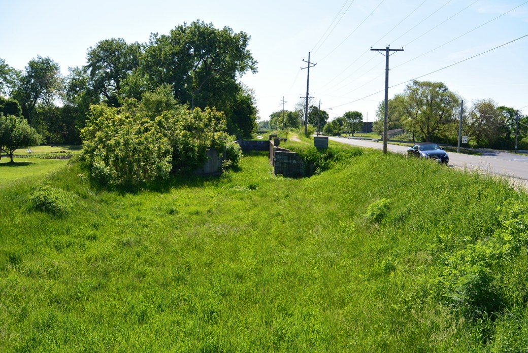 wp-1433019820837 image