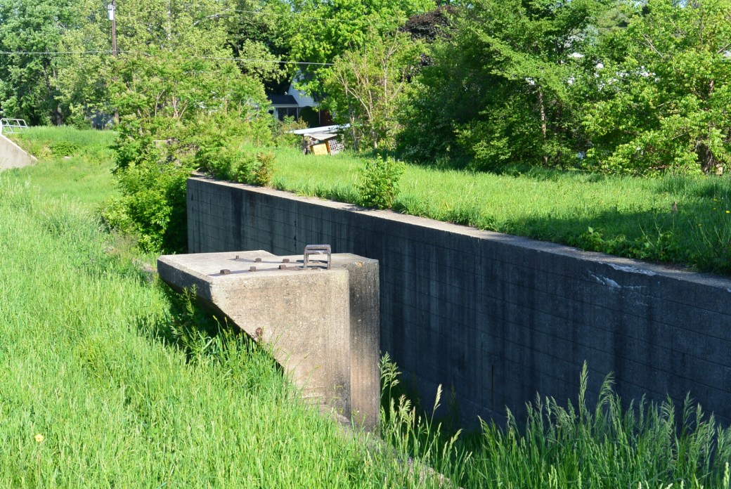 wp-1433019884553 image