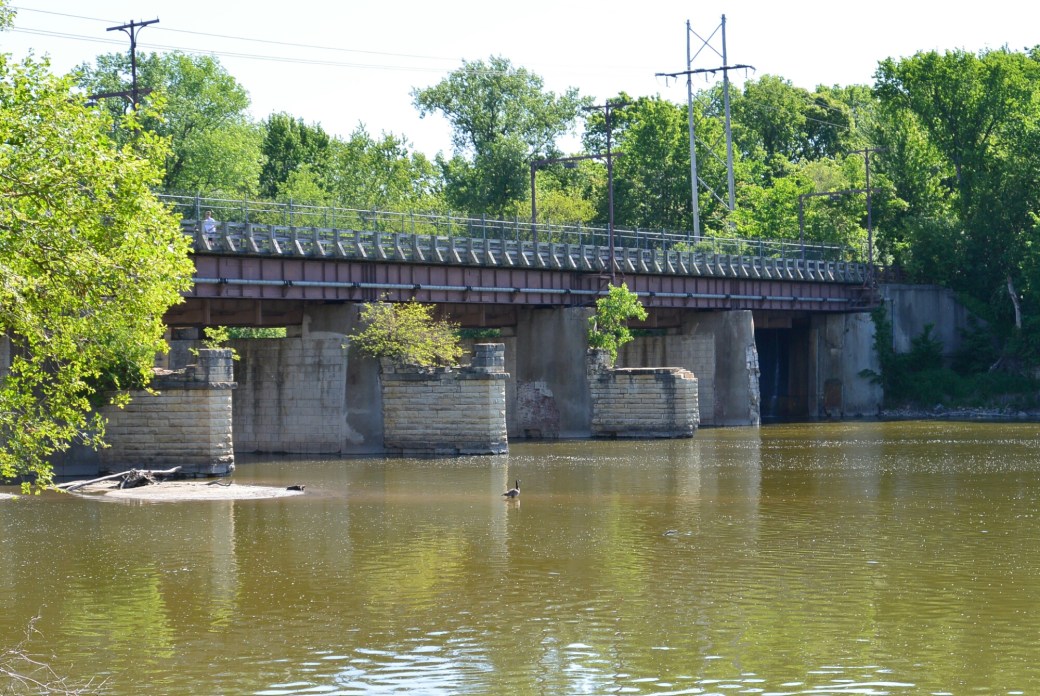 wp-1433355565329 image