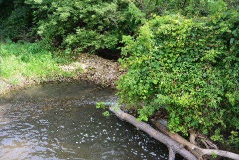 wp-1437478840028 image