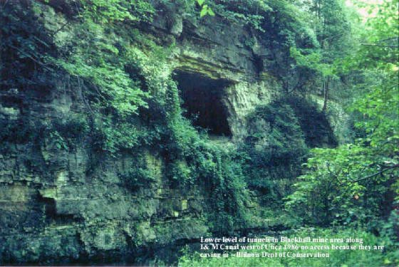 wp-1437479004264 image