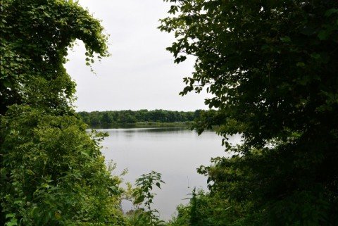 wp-1437479245867 image