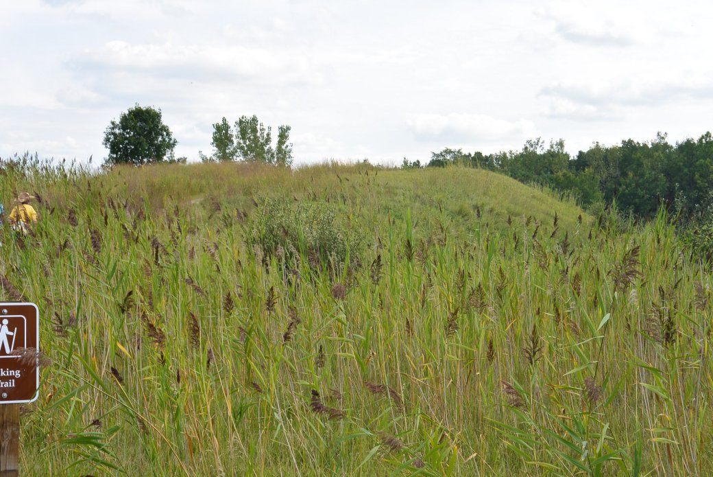 wp-1440536953911 image