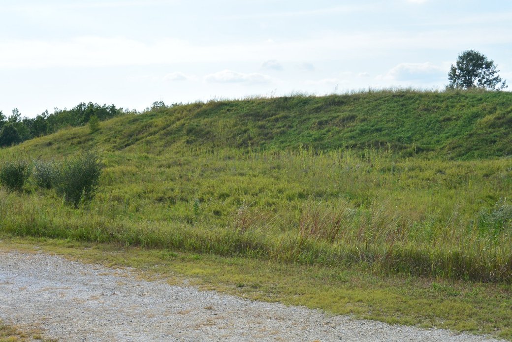 wp-1440537071143 image