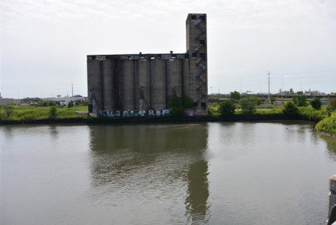 wp-1448557402945 image