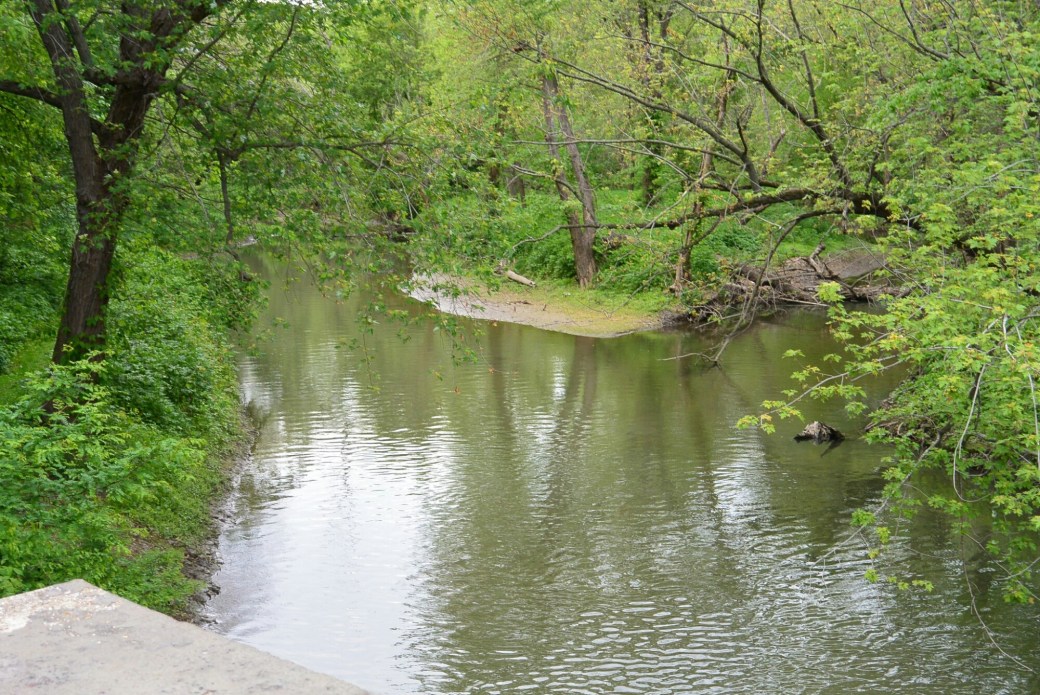 wp-1459963385212 image