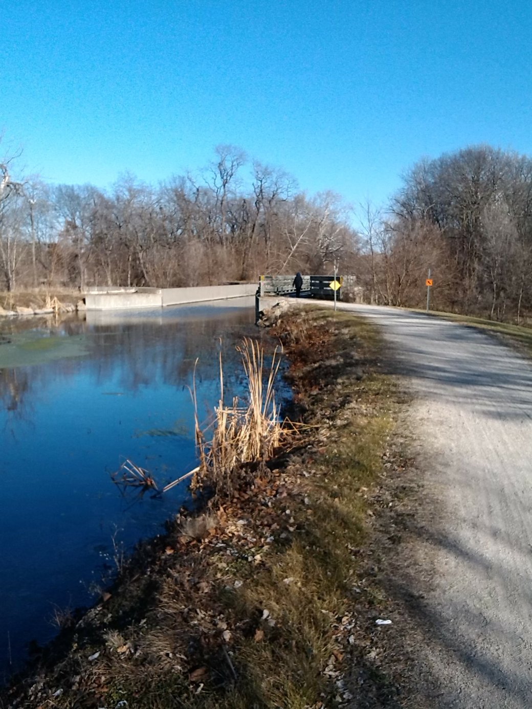 wp-1459992301424 image