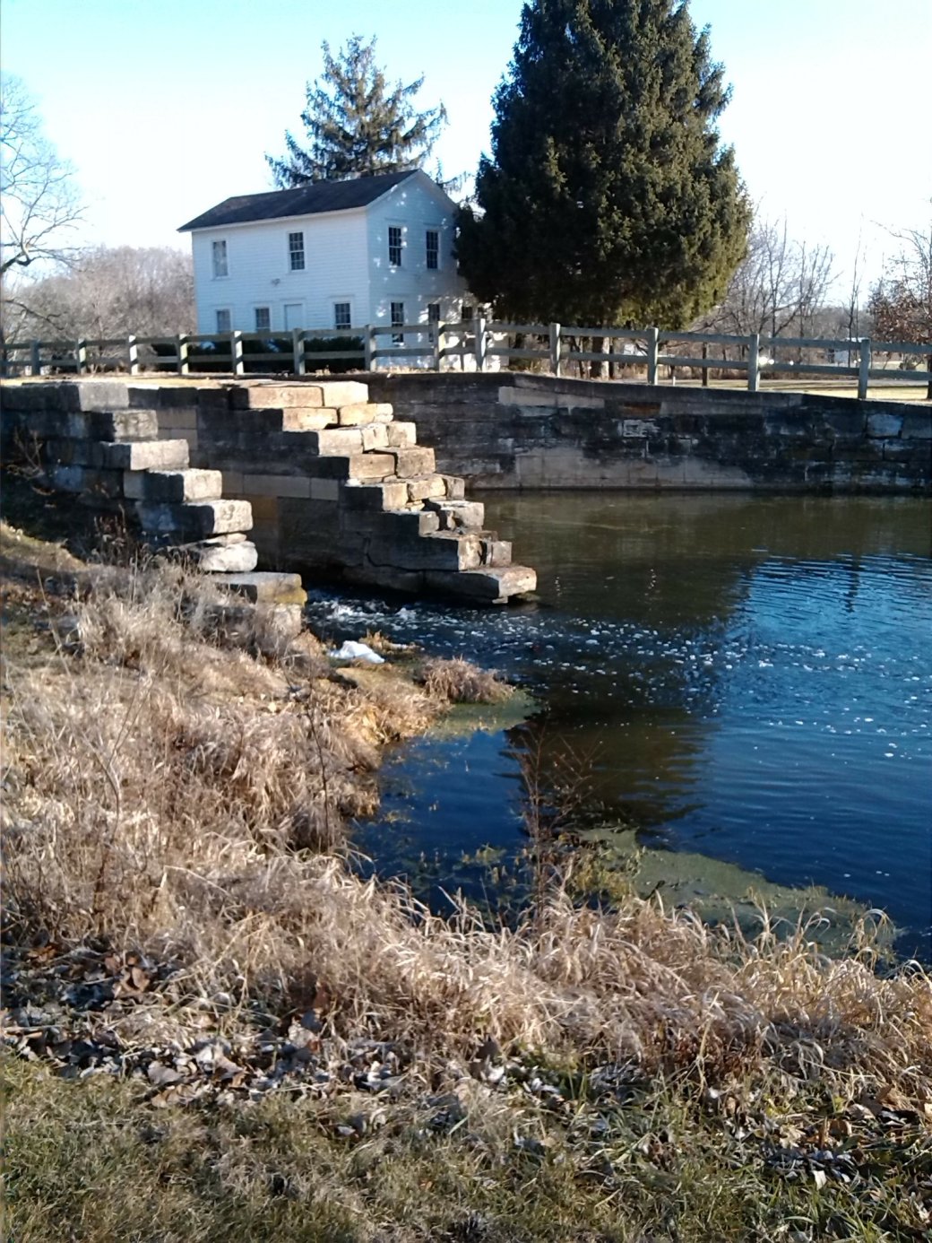 wp-1459992919644 image