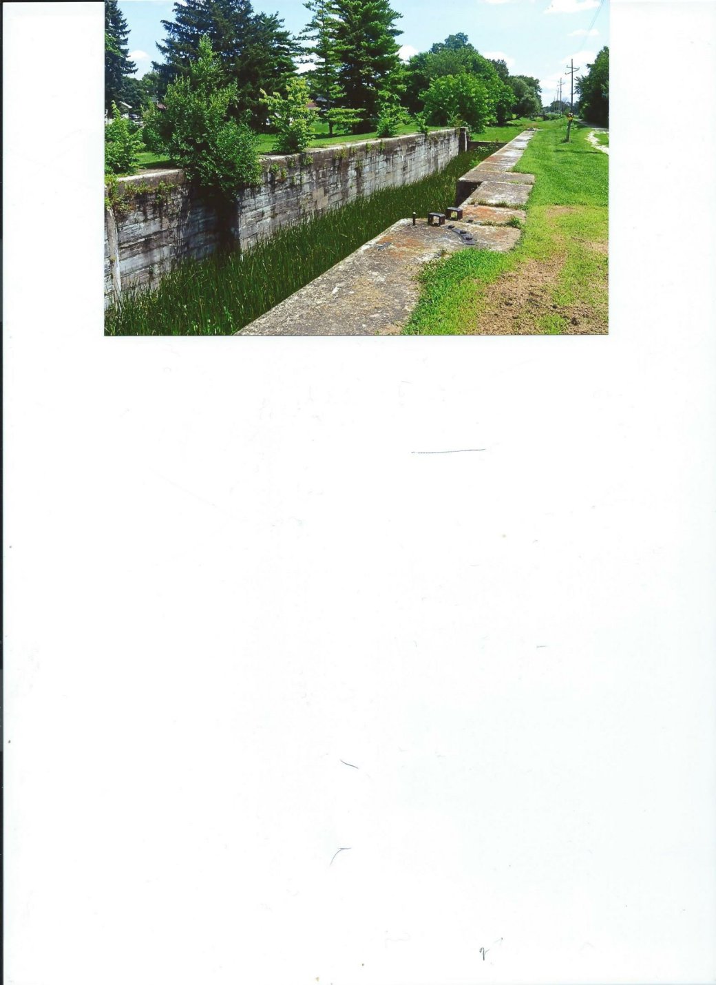 wp-1466291240017 image