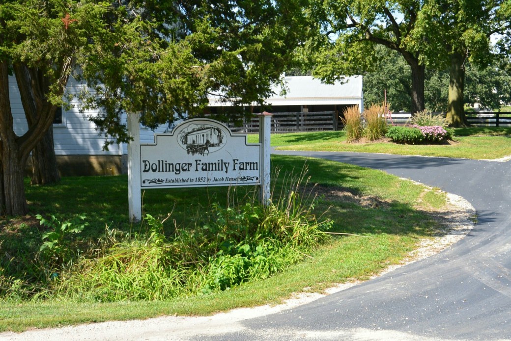 Rutherford Inn Dresden