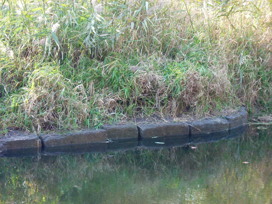 Lock13remains Dick Stokes