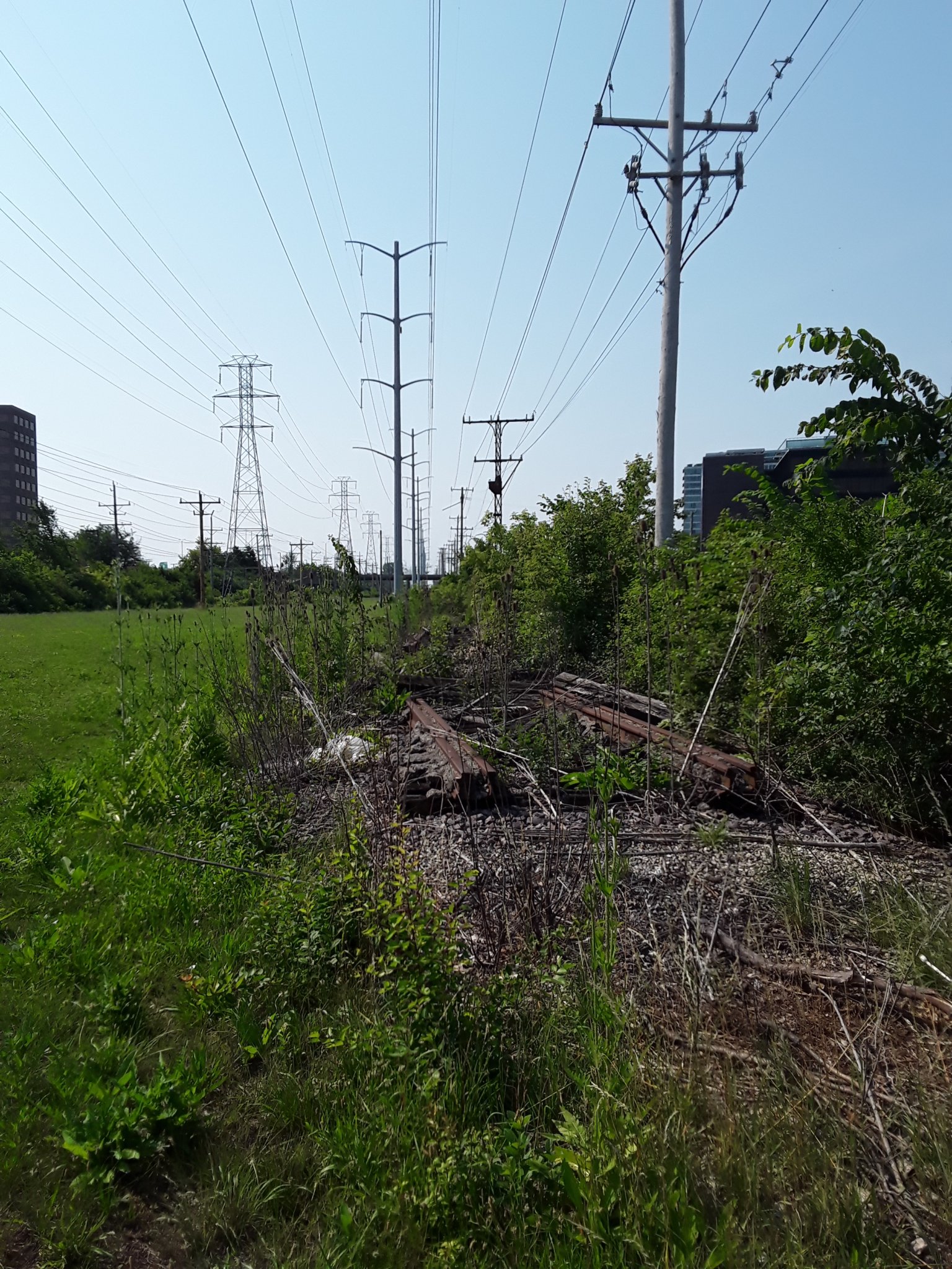 Images Abandoned R.R. Line Skokie
